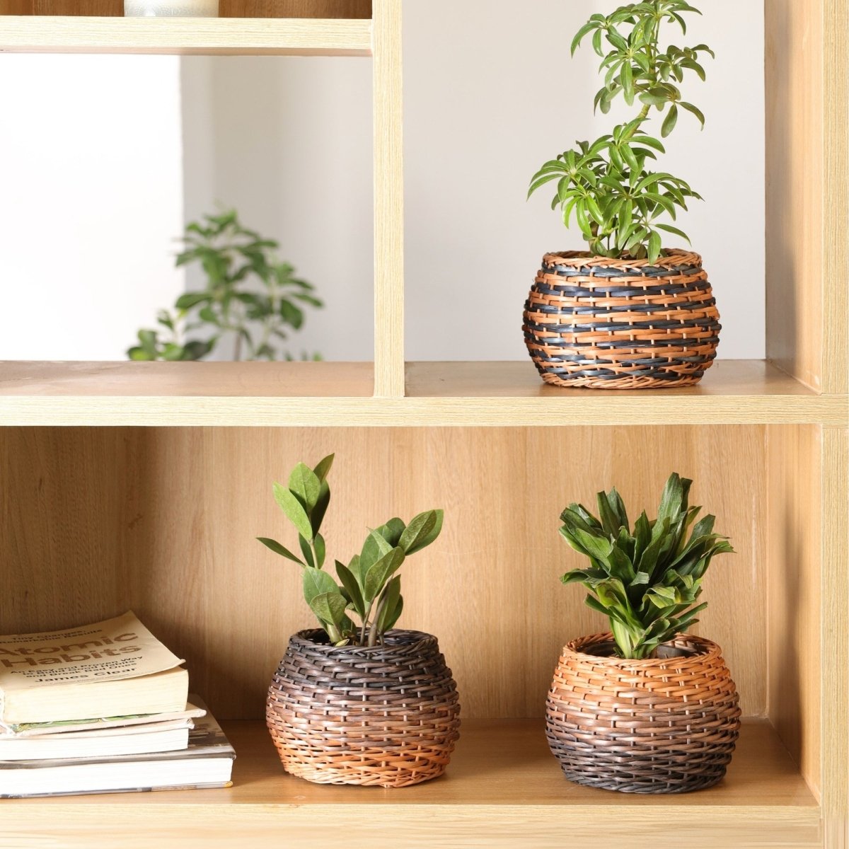 Indigo and Natural Brown Wicker and Wood Planter | Eco-friendly Indoor Decor