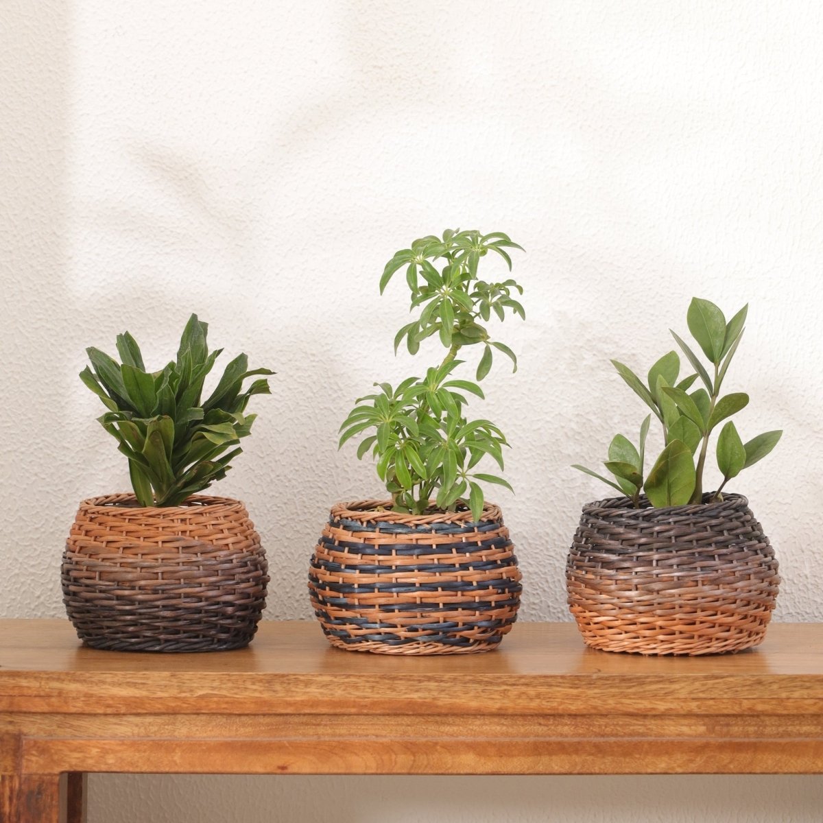 Indigo and Natural Brown Wicker and Wood Planter | Eco-friendly Indoor Decor