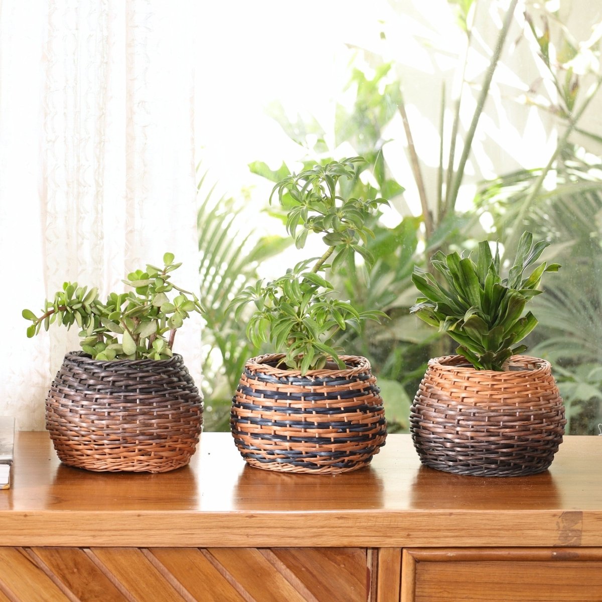 Indigo and Natural Brown Wicker and Wood Planter | Eco-friendly Indoor Decor