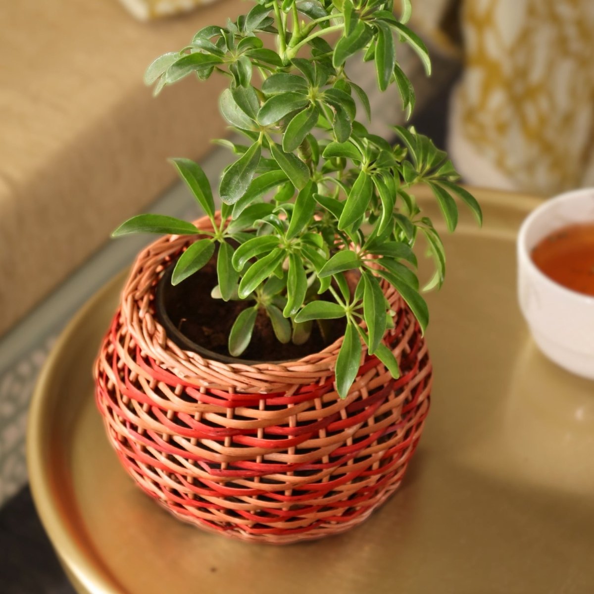 Rust Brown and Indigo Wicker and Wood Planter | Eco-friendly Indoor Decor