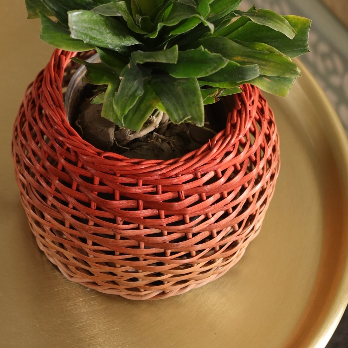 Rust and Natural Brown Wicker and Wood Planter | Eco-friendly Indoor Decor