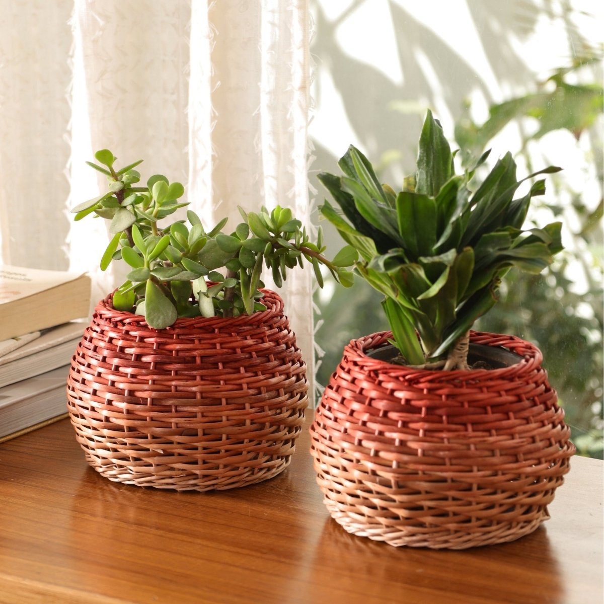 Rust and Natural Brown Wicker and Wood Planter | Eco-friendly Indoor Decor