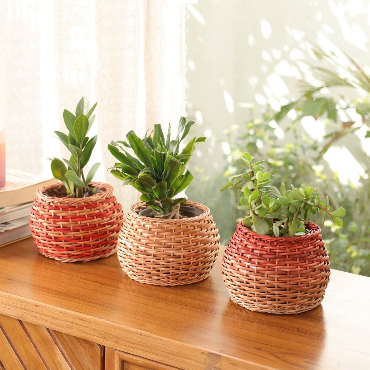 Rust and Natural Brown Wicker and Wood Planter | Eco-friendly Indoor Decor