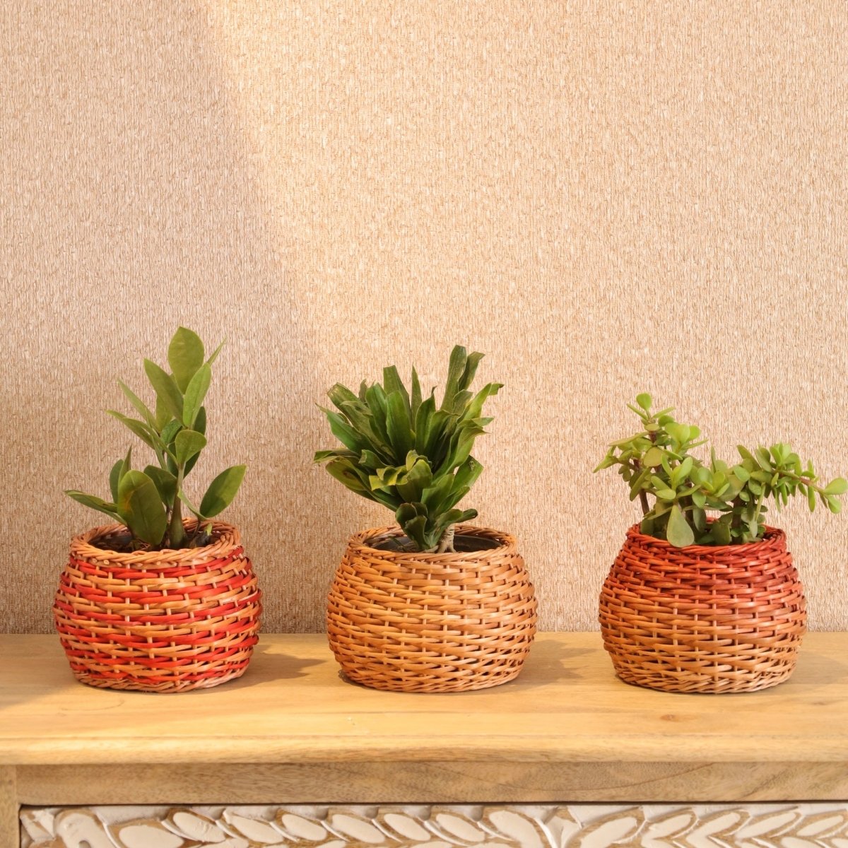 Rust and Natural Brown Wicker and Wood Planter | Eco-friendly Indoor Decor