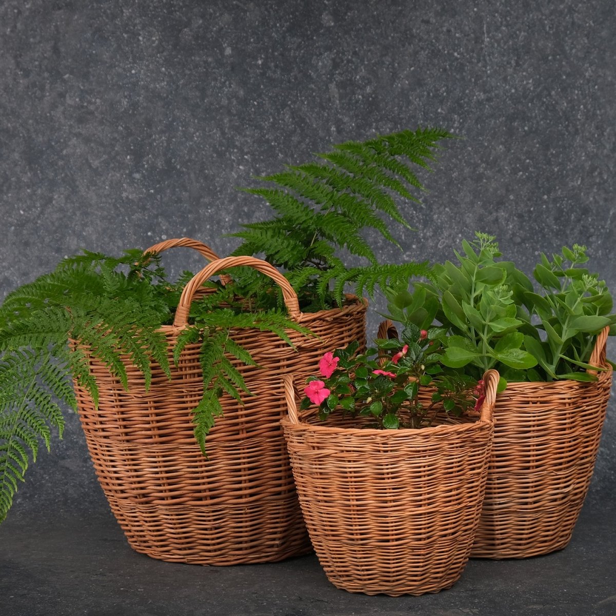 Indoor Planter hand made with wicker and wood from Kashmir